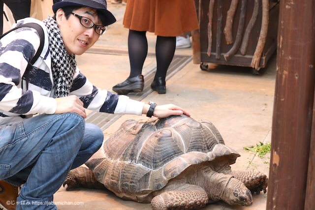 神戸ポートアイランド 動物が近すぎ 神戸どうぶつ王国のデートの楽しみ方 じゃばみのブログ